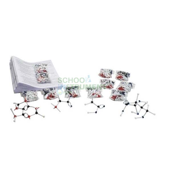 Nucleotide Modeling: An Introduction to DNA & RNA Kit
